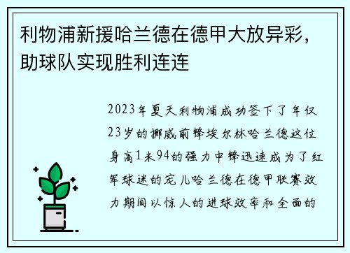 利物浦新援哈兰德在德甲大放异彩，助球队实现胜利连连