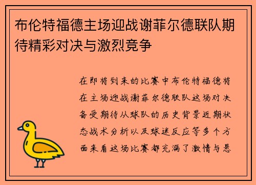 布伦特福德主场迎战谢菲尔德联队期待精彩对决与激烈竞争