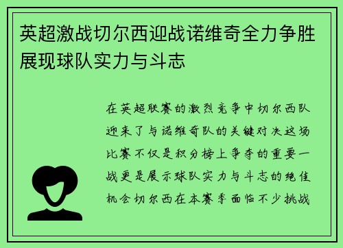 英超激战切尔西迎战诺维奇全力争胜展现球队实力与斗志