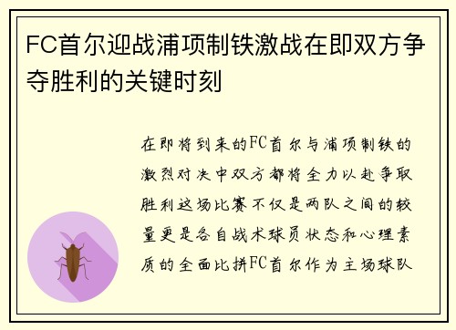 FC首尔迎战浦项制铁激战在即双方争夺胜利的关键时刻